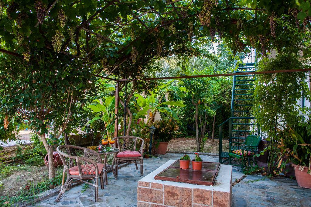 Zante Nest Studios & Apartments Alykanas  Exteriér fotografie